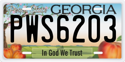 GA license plate PWS6203