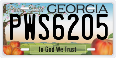 GA license plate PWS6205
