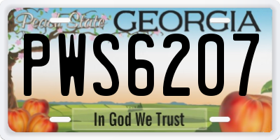 GA license plate PWS6207