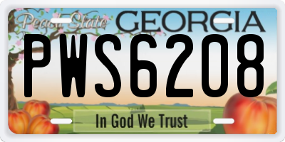 GA license plate PWS6208