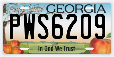 GA license plate PWS6209