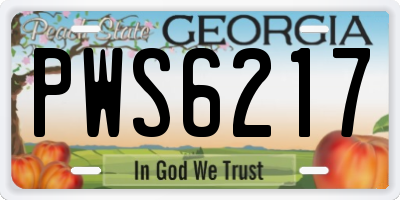GA license plate PWS6217