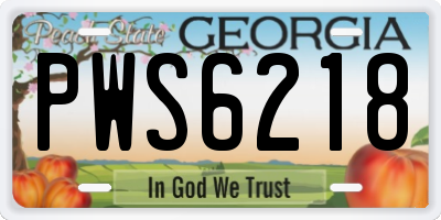 GA license plate PWS6218