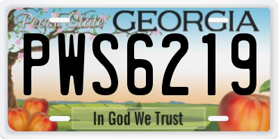 GA license plate PWS6219