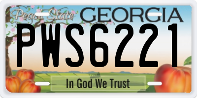 GA license plate PWS6221