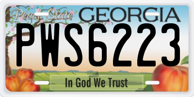 GA license plate PWS6223