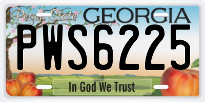 GA license plate PWS6225