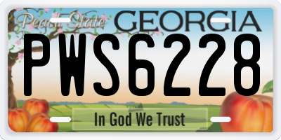 GA license plate PWS6228