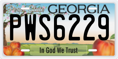 GA license plate PWS6229