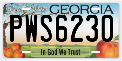GA license plate PWS6230