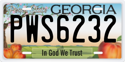 GA license plate PWS6232