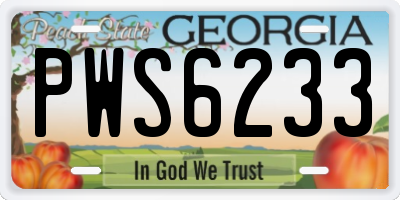 GA license plate PWS6233