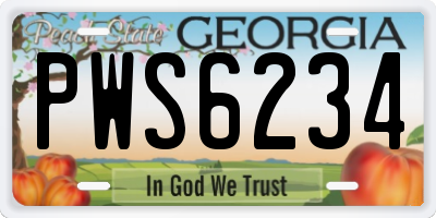 GA license plate PWS6234