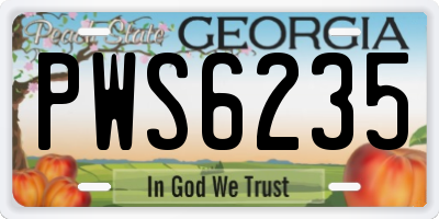 GA license plate PWS6235