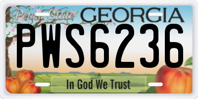 GA license plate PWS6236