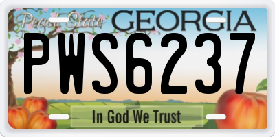 GA license plate PWS6237