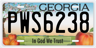 GA license plate PWS6238