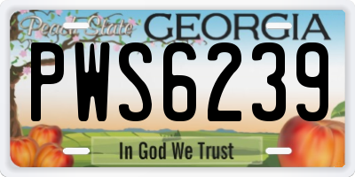 GA license plate PWS6239