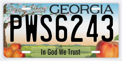 GA license plate PWS6243