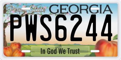 GA license plate PWS6244