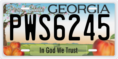 GA license plate PWS6245