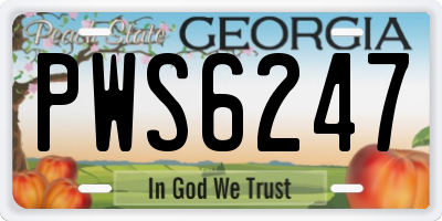 GA license plate PWS6247