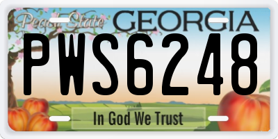 GA license plate PWS6248