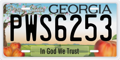 GA license plate PWS6253