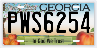 GA license plate PWS6254
