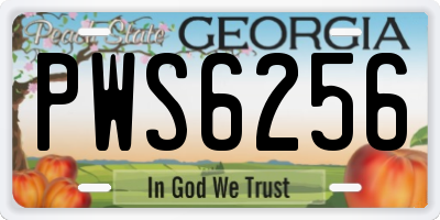 GA license plate PWS6256