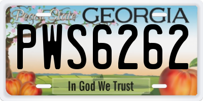 GA license plate PWS6262
