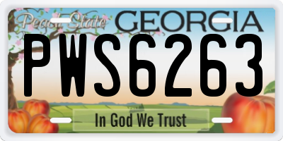GA license plate PWS6263