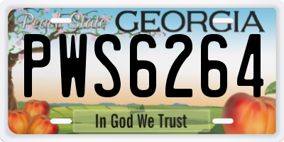 GA license plate PWS6264