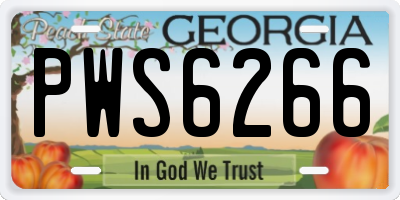 GA license plate PWS6266