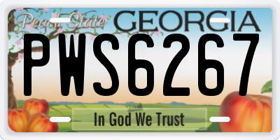 GA license plate PWS6267