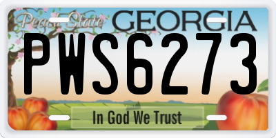 GA license plate PWS6273