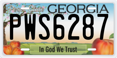 GA license plate PWS6287