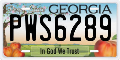 GA license plate PWS6289
