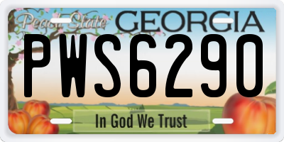 GA license plate PWS6290