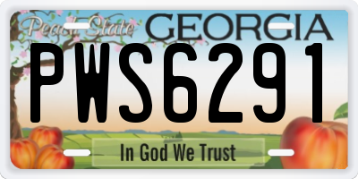 GA license plate PWS6291