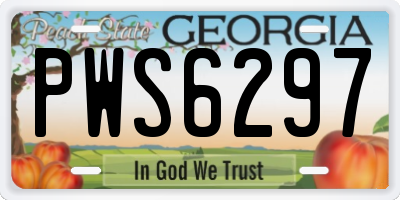 GA license plate PWS6297