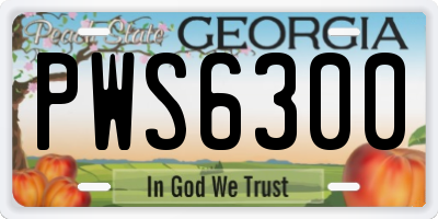 GA license plate PWS6300