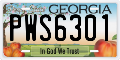 GA license plate PWS6301