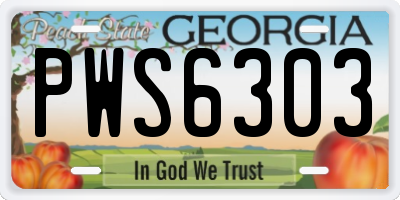 GA license plate PWS6303