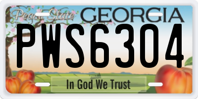 GA license plate PWS6304