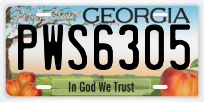 GA license plate PWS6305
