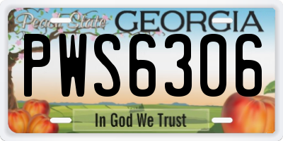 GA license plate PWS6306