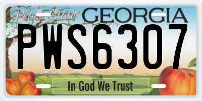 GA license plate PWS6307