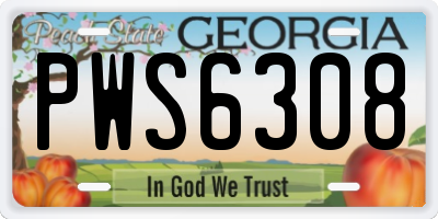 GA license plate PWS6308