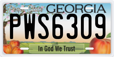GA license plate PWS6309